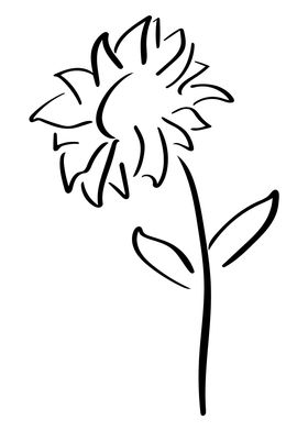 Sunflower Line Art Minimal