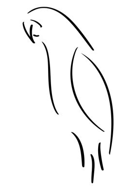 Parrot Line Art Minimal