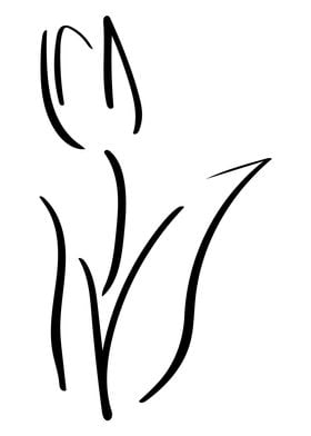 Tulip Line Art Minimal