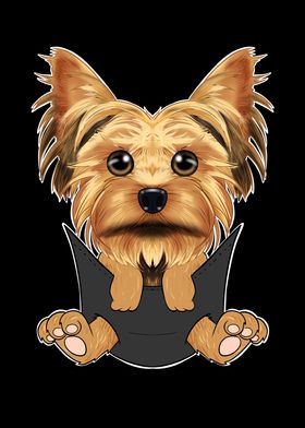 Yorkshire Terrier Puppy