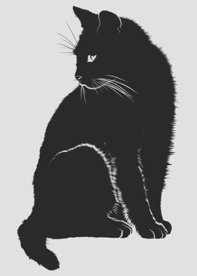 black cat