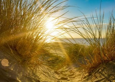 Sand dunes at sunset