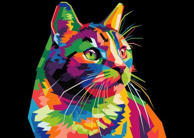 colorful cat on pop art