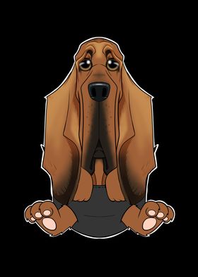 Bloodhound Puppy In Pocket