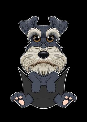 Miniature Schnauzer Puppy