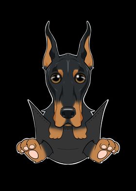 Doberman Puppy In Pocket