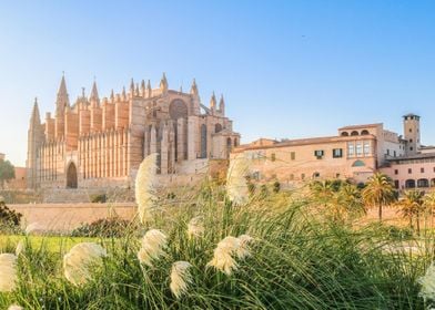 Mallorca Spain Travel City