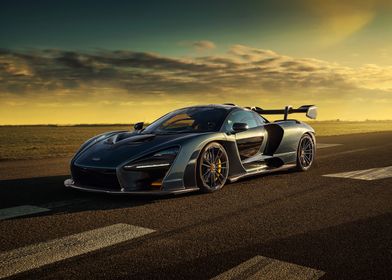 MCLAREN SENNA