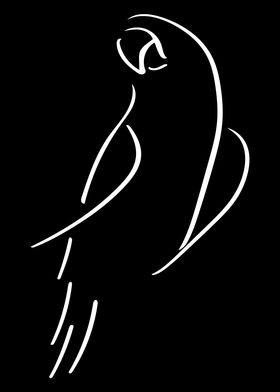 Parrot Line Art Minimal