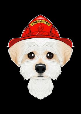 Canine Handler I Fireman