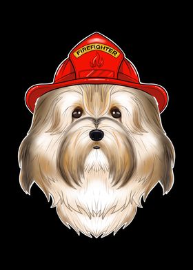 Firefighter Havanese