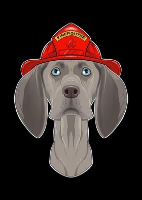 Firefighter Weimaraner