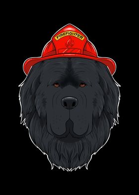 Canine Handler I Fireman