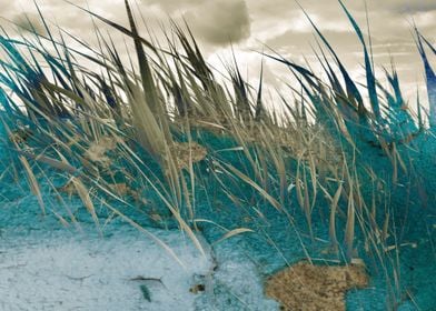 Emerald blue cattails