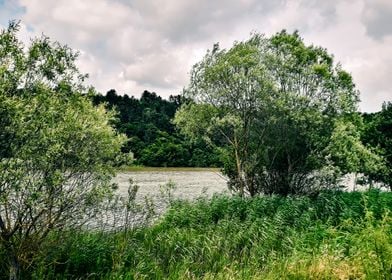 Green summer river