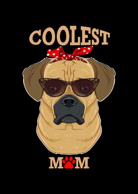 Coolest Dog Mom I Puggle