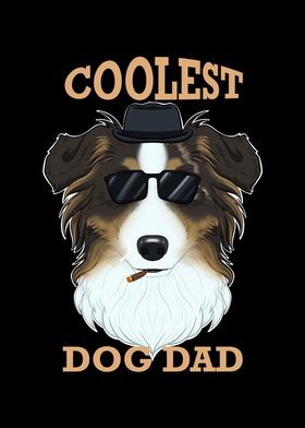 Dad Australian Shepherd