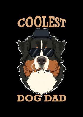 Bernese Mountain Dog Dad