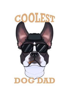 Dog Dad I Boston Terrier