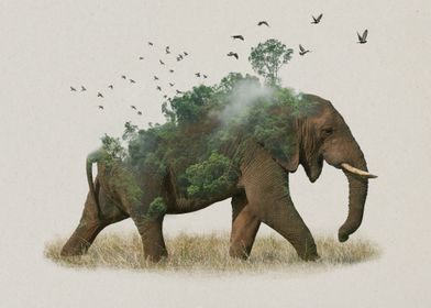 Elephant Natural Habitat