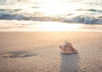 beach sand