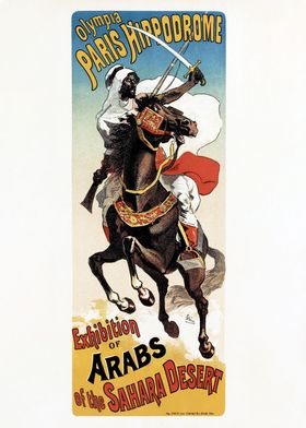 Arab riding black Stallion