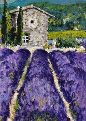 Lavender House in Provence