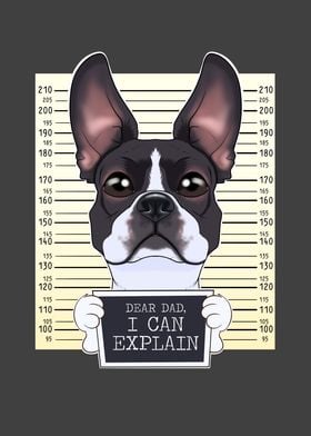 Boston Terrier Dog Dad