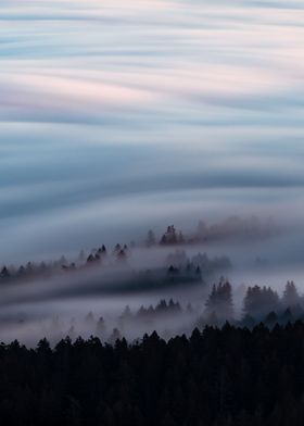 Mount Tamalpais Fog wave