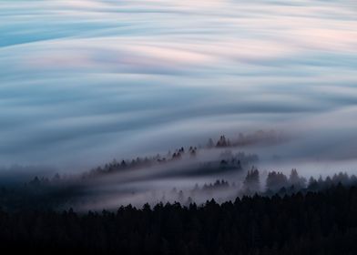 Mount Tamalpais Fog wave