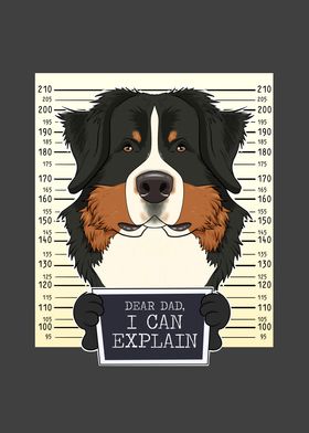  Bernese Mountain Dog Dad