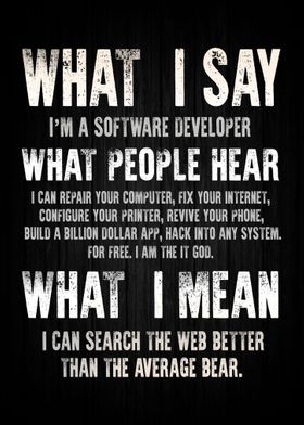 Software Developer