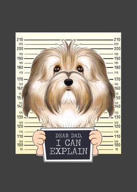 Havanese Dog Dad