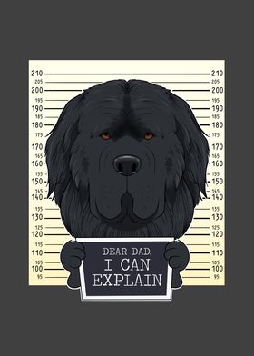 Newfoundland Dog Dad