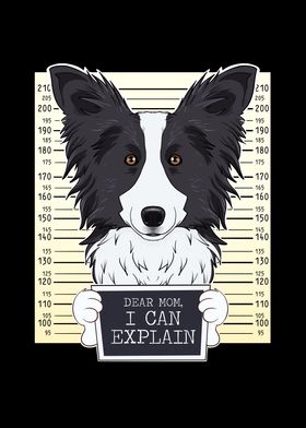 Border Collie Dog Mom