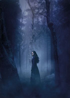 The Witcher Series-preview-2