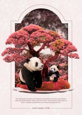 Panda cherry blossom japan