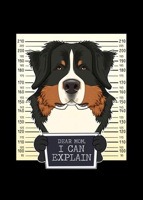 Bernese Mountain Dog Mom