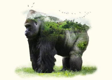 Gorilla Natural Habitat
