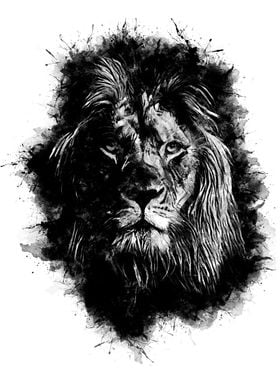 Lion Portrait Monochrome