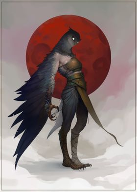 Bird Warrior