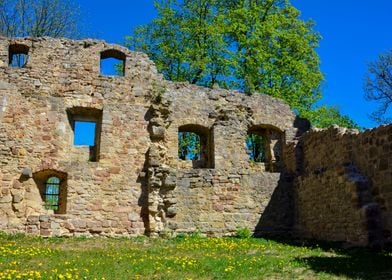 Ruins of a castle