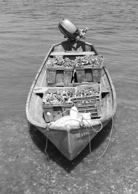 Boat Sailing Boats Ocean