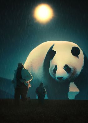 Panda at Night