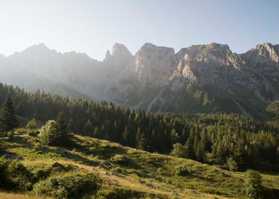 Morning glory italian Alps