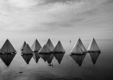 Boat Sailing Boats Ocean