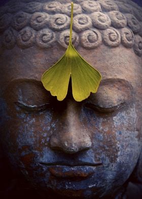 Buddha Meditation