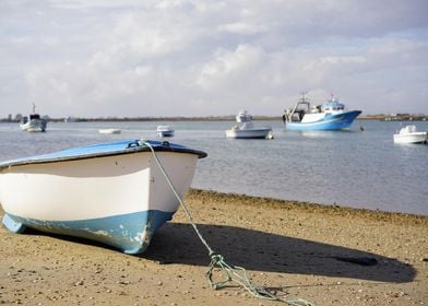 Boat Sailing Boats Ocean