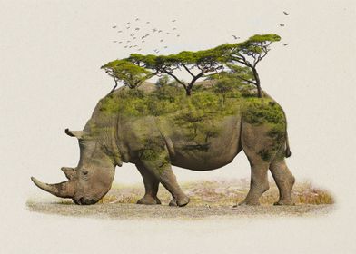 Rhino Natural Habitat