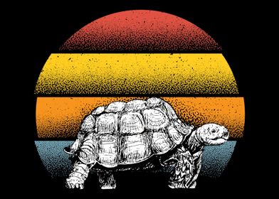 Turtle Sunset